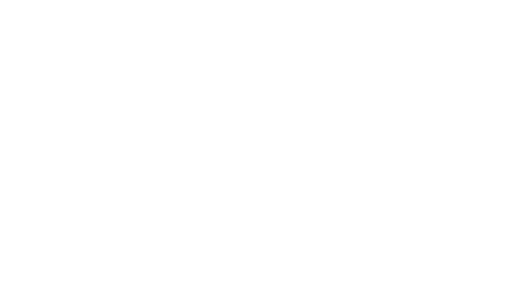 The Agnew Group logo